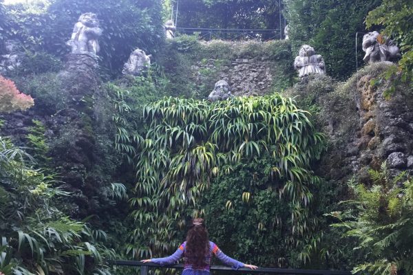 Guida Turistica - Scrittrice - Interprete - Danza - Merletto e Ricamo