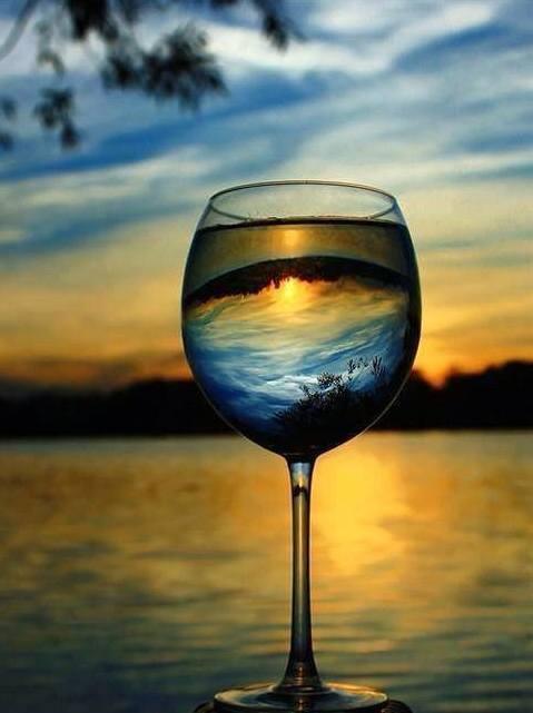 Wine Tasting, Wine Made on the Lake of Como