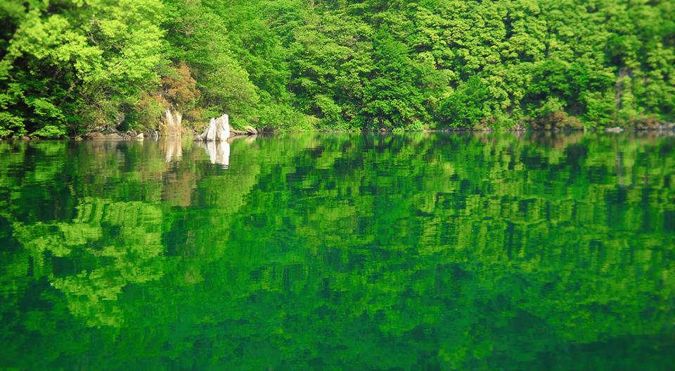 lago di como lake como green pic