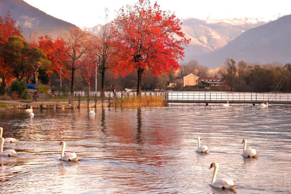 lago di como red autumn