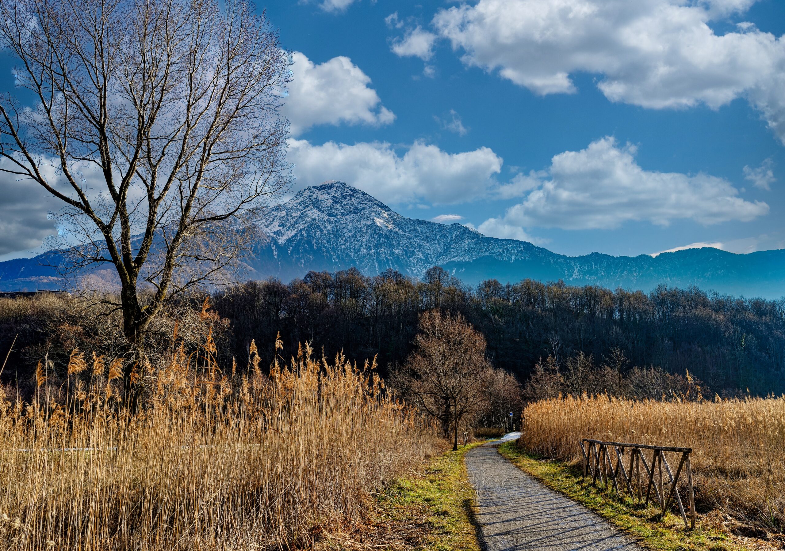 Scenic Walks: The Best Hiking Trails Around Lake Como