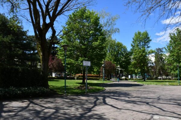 Nature and garden in Como city