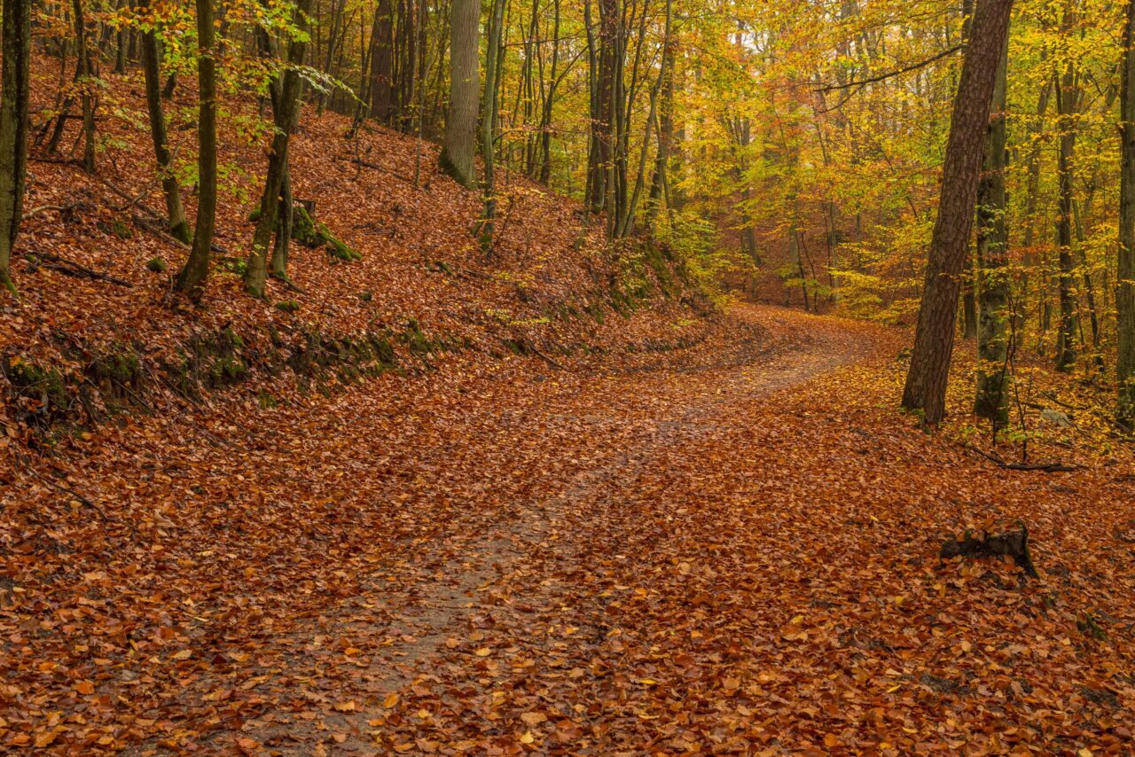 Autumn Foliage in Valle d’Intelvi: Discover Italy’s Hidden Gem